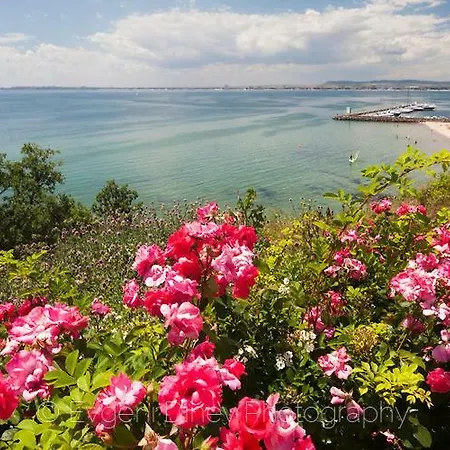 公寓 Studio In Sun Coast *